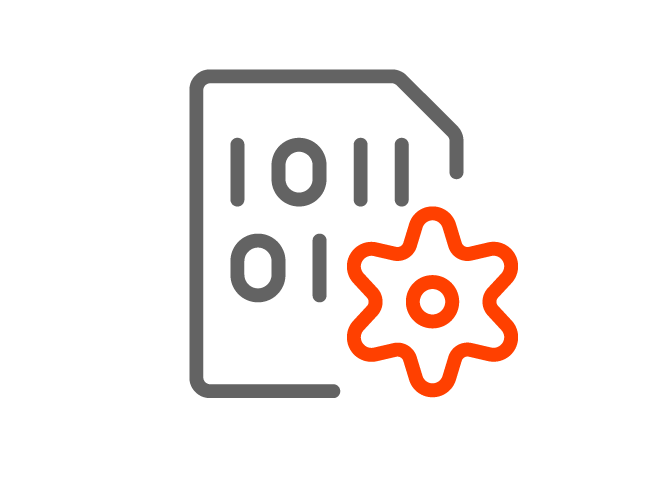 api-customize